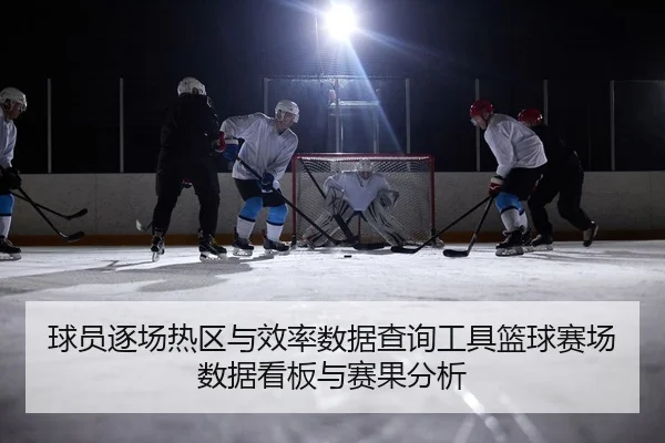 球员逐场热区与效率数据查询工具篮球赛场数据看板与赛果分析